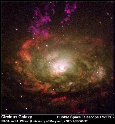 149450main_Circinus_med-jpg.webp