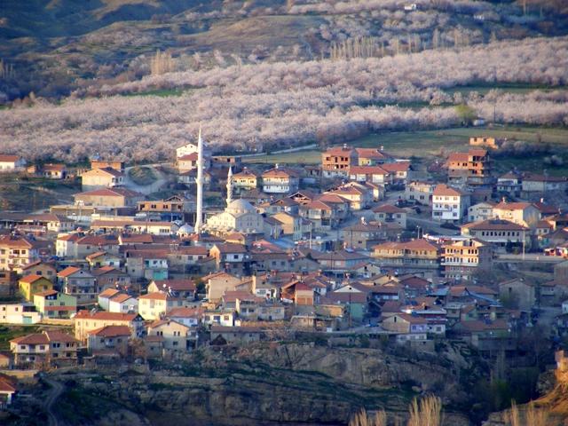 Hekimhan (İlçe)