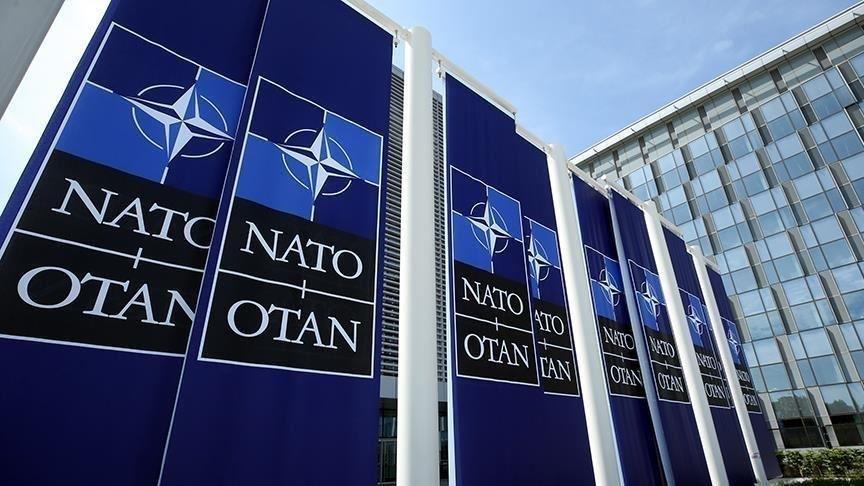 NATO'nın "Arktik Nöbeti" misyonu