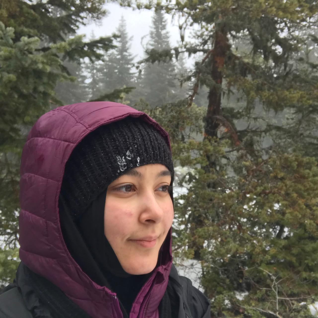 Nisa Doğan