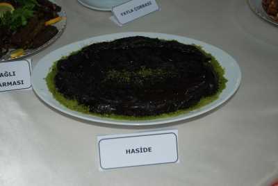 Haside 1.jpg
