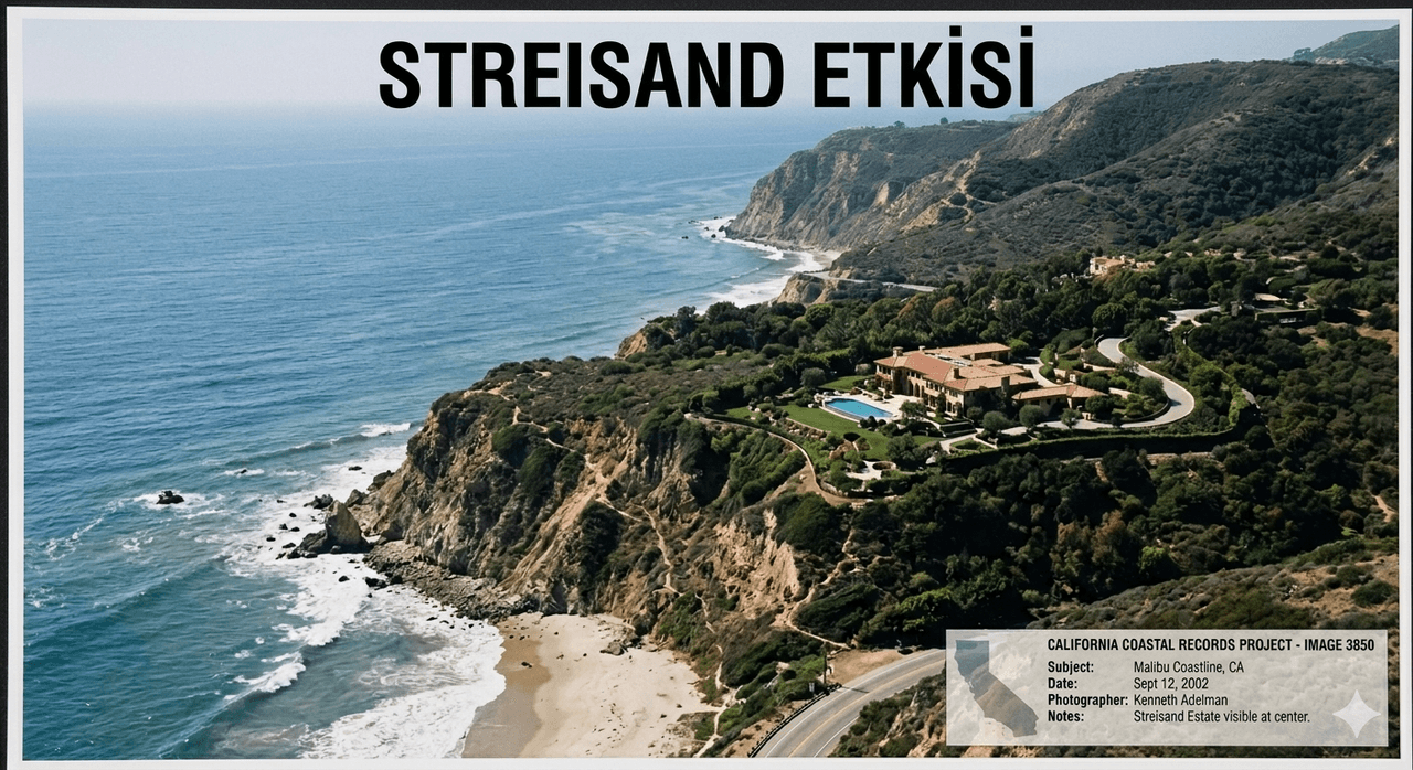 Streisand Etkisi