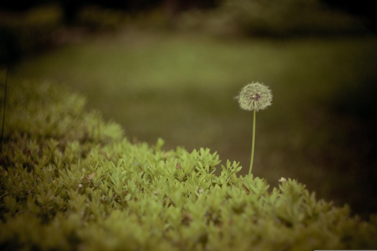 Longing