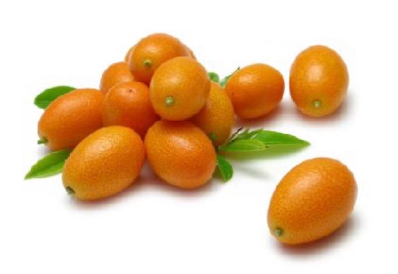 Kamkat Fruit