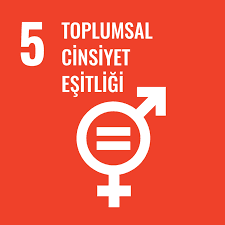 Toplumsal Cinsiyet Eşitliği