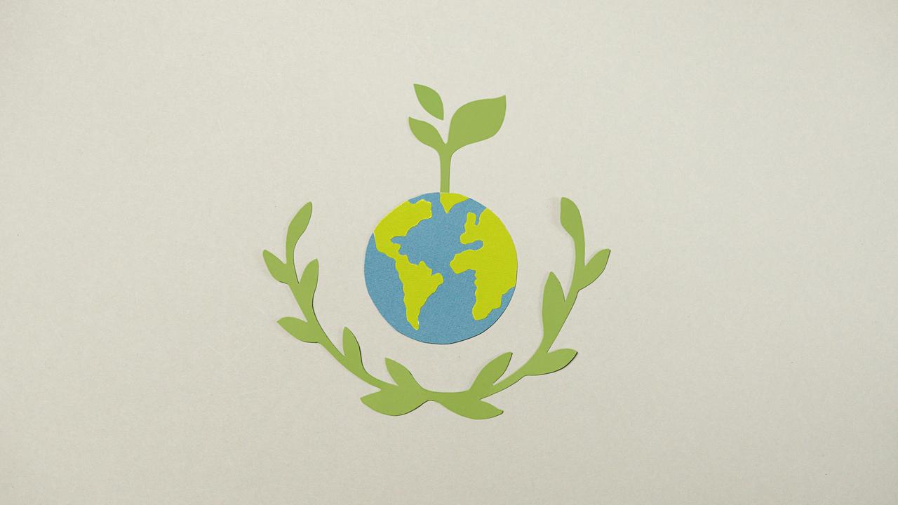 World Day