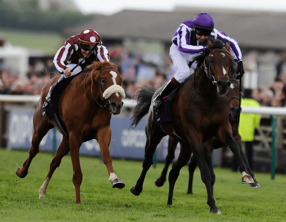 Horse Race