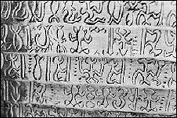 Rongorongo Script