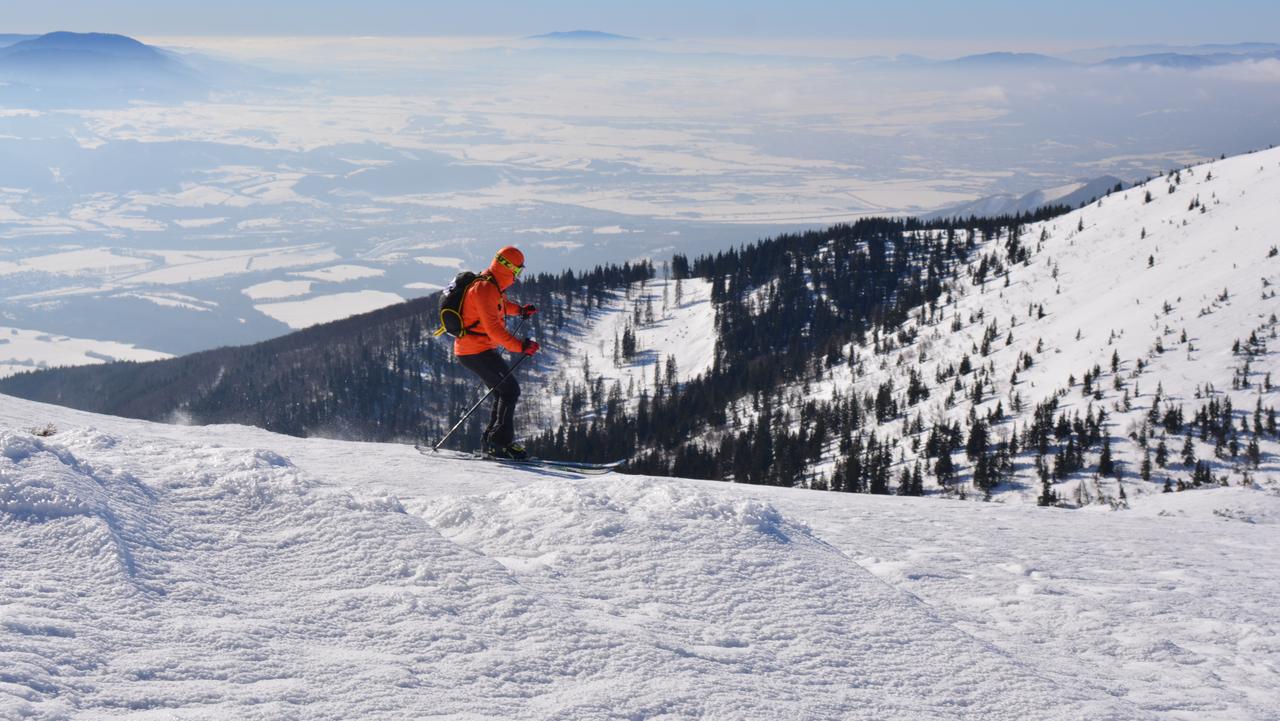 Kayak Alp Disiplini