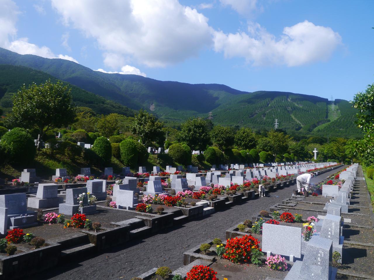 Japonya'da Kremasyon