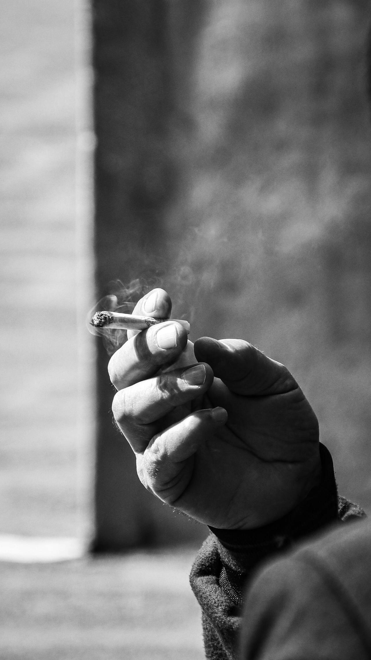 pexels-sayefotograf-18478742.jpg