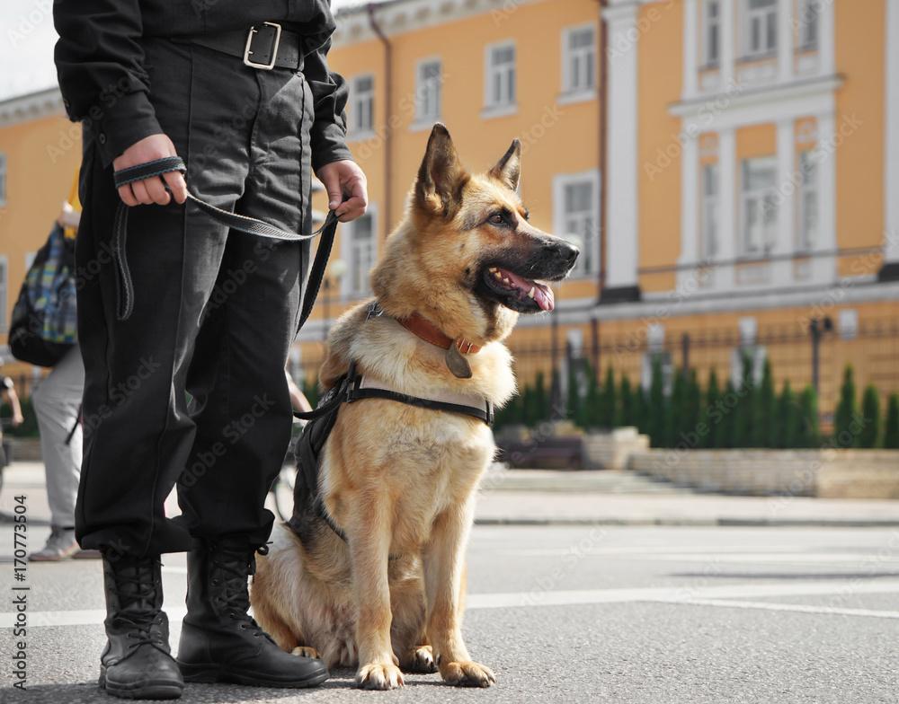 K9 Polis Köpekleri