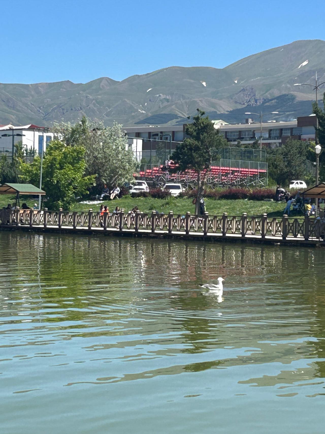 Gözlerin