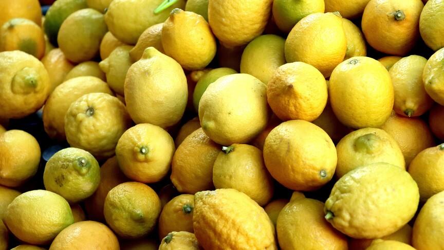Limon Ağacı