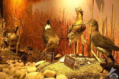 IMG_7422.jpeg