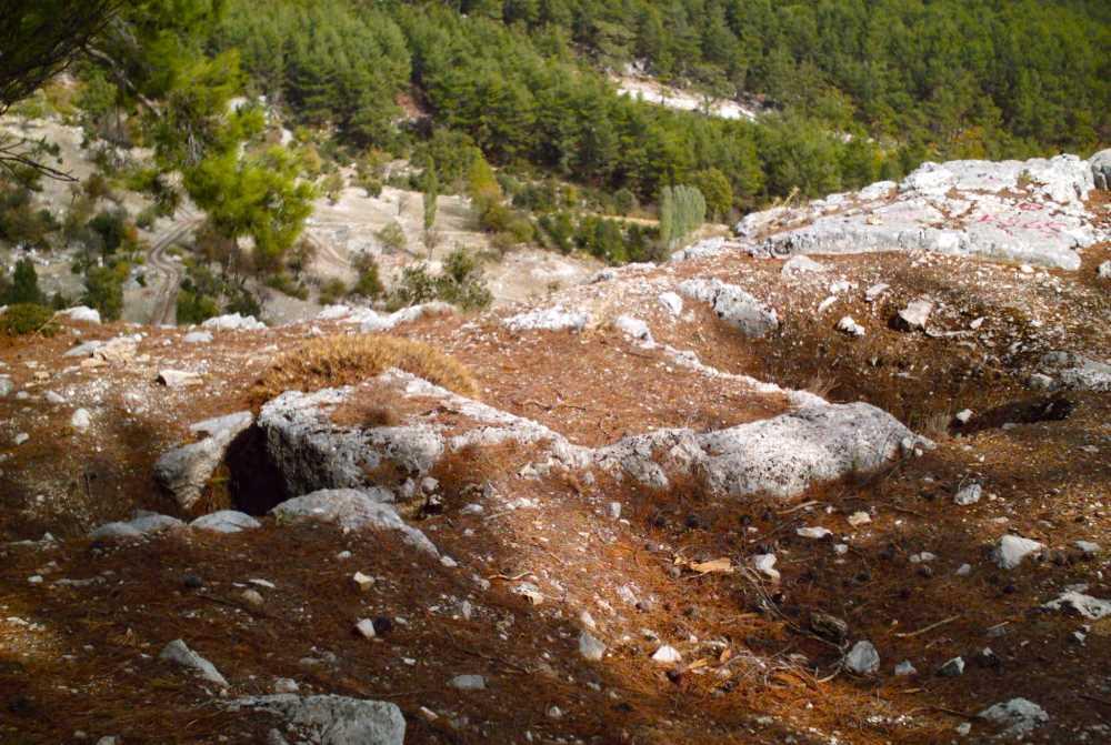 20231122112554630_Idebessos (3).jpg