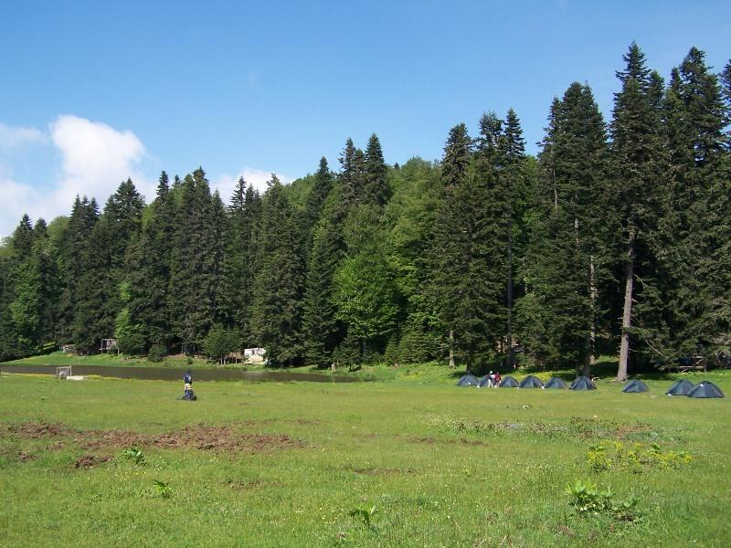 At Yaylası (Bolu)