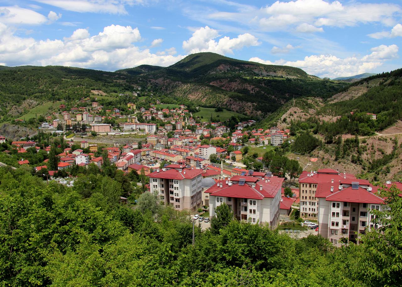 mesudiye 1  copy.jpg