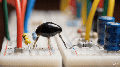 For the Enthusiast: Transistors