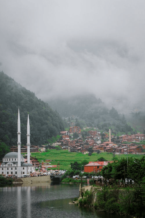 Çaykara (District)