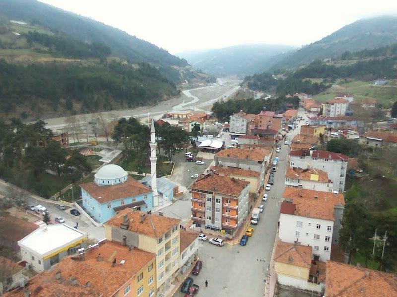 Dikmen (District)