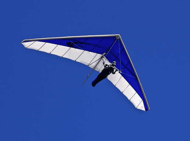 Rogallo Wing