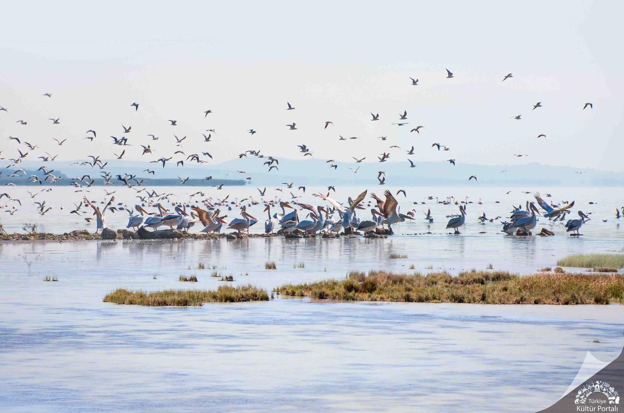 Manyas Bird Paradise