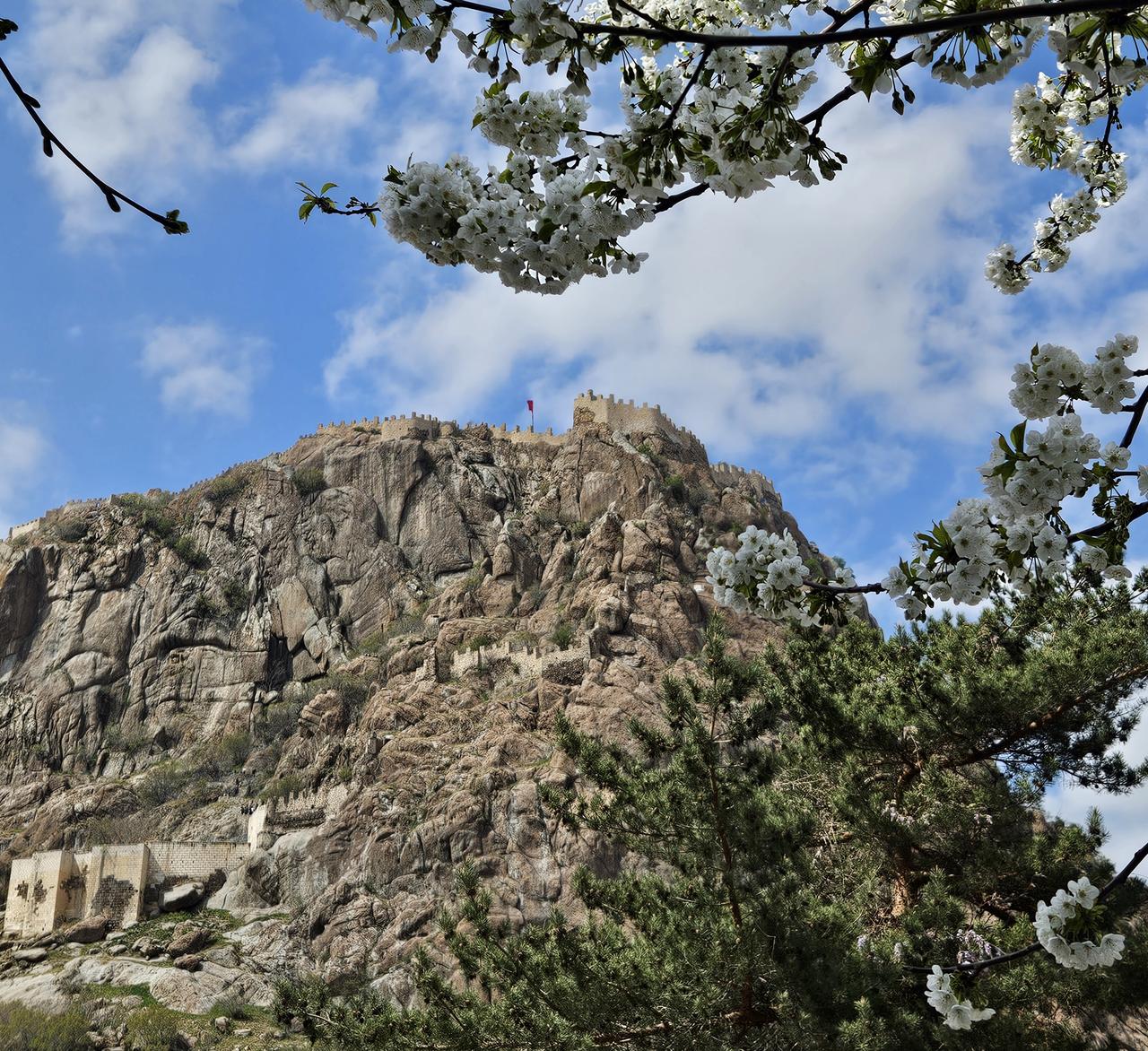 Afyonkarahisar (İl)