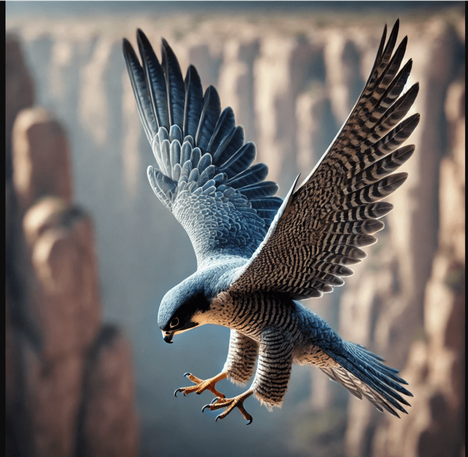 Peregrine Falcon
