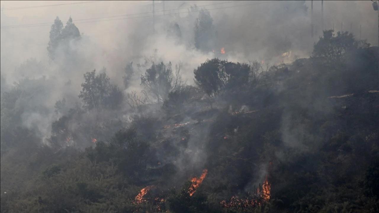 Chile Forest Fires (March 2025)