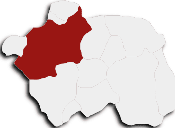 Odunpazarı (İlçe)