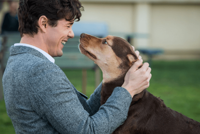 A Dog’s Way Home (Film)
