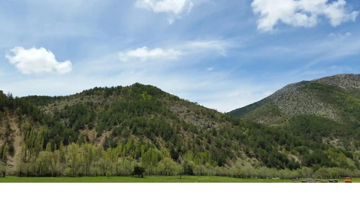 Alucra (İlçe)