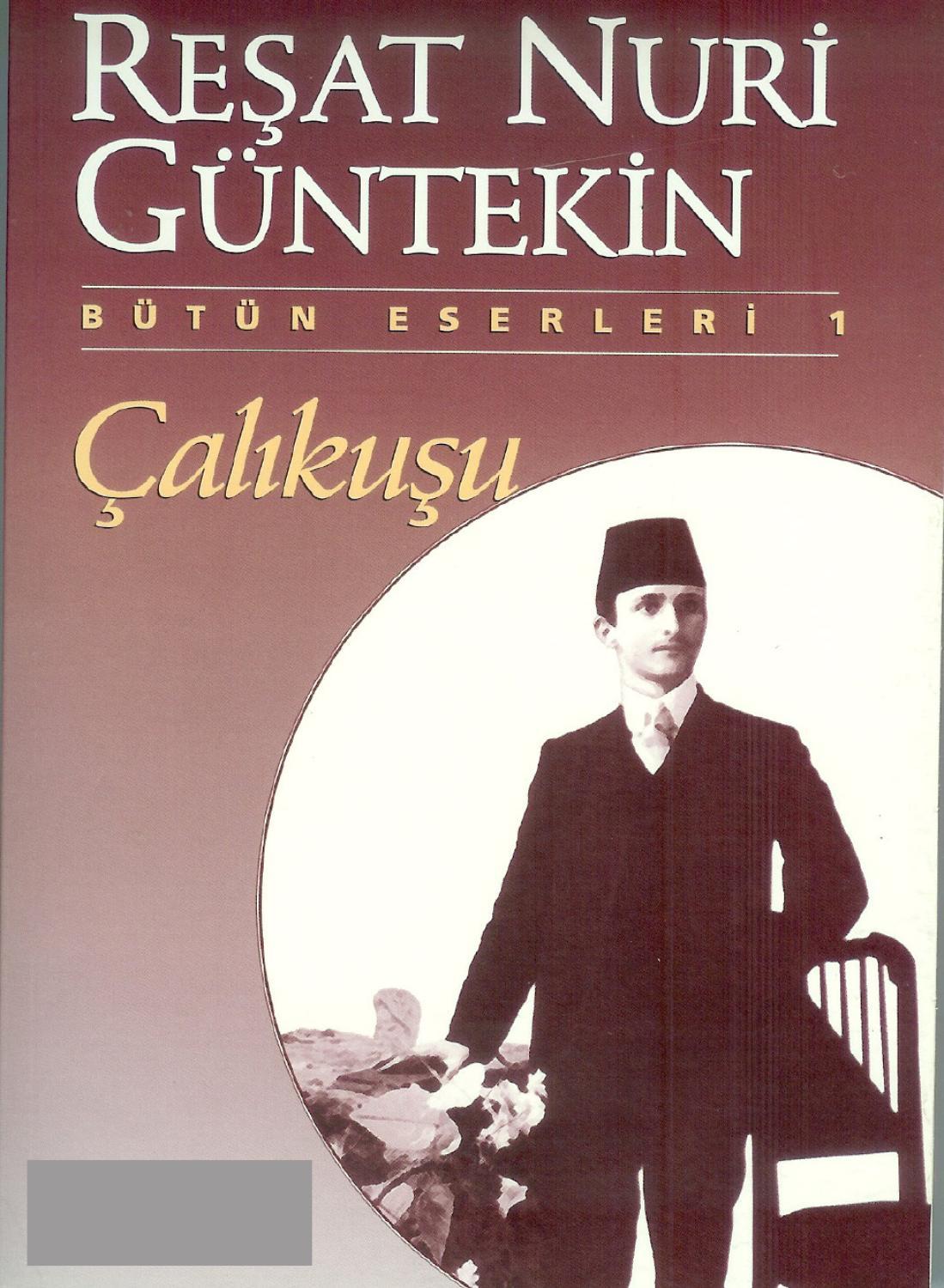 The Warbler (Novel)