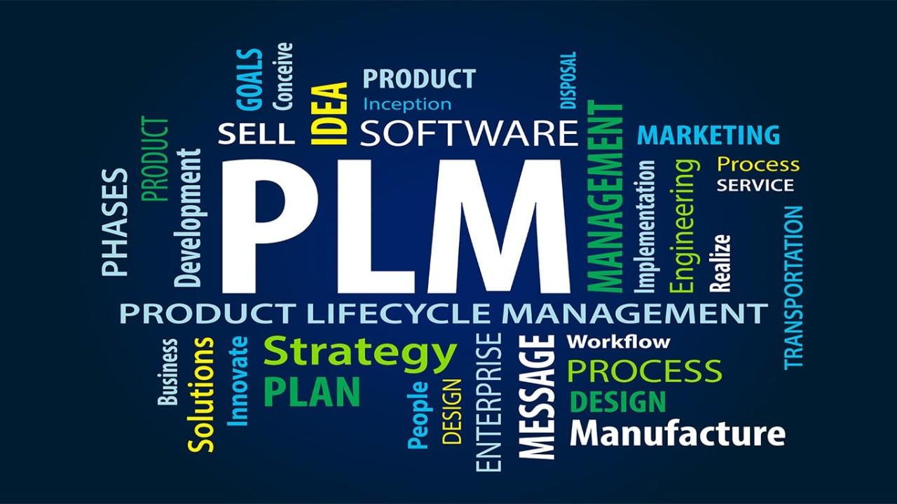 PLM
