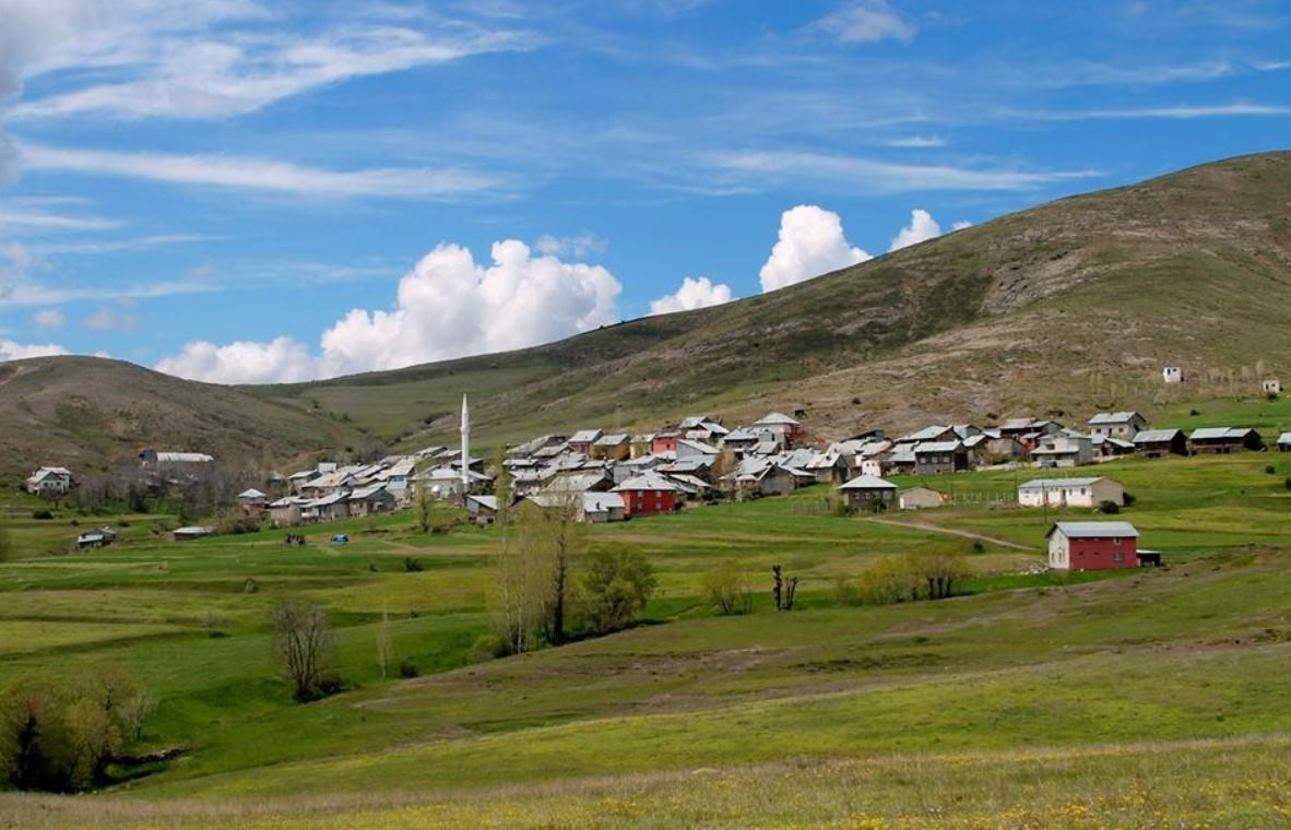 Pazaryolu (District)
