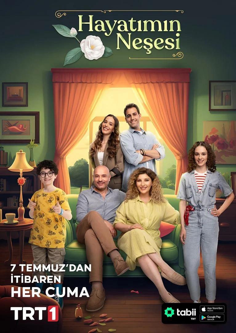 The Joy of My Life (Series)