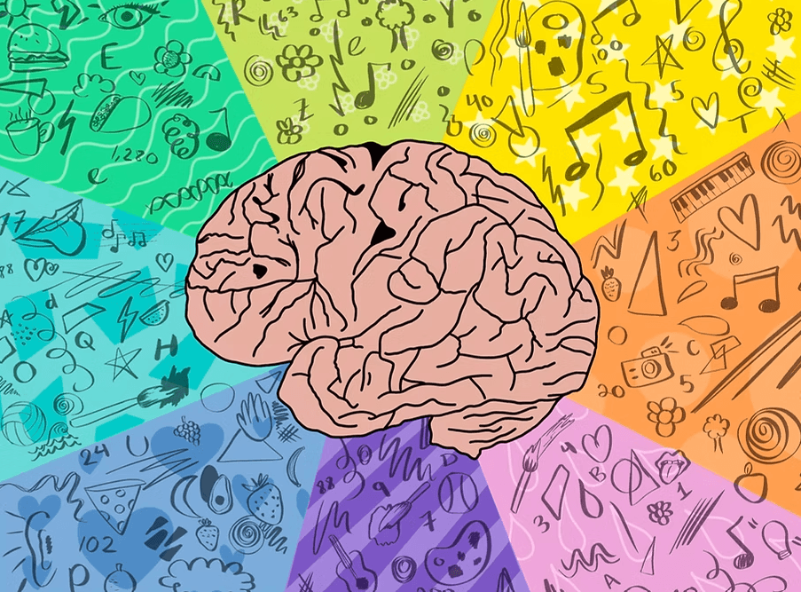 Synesthesia: The Colorful Dance of the Senses