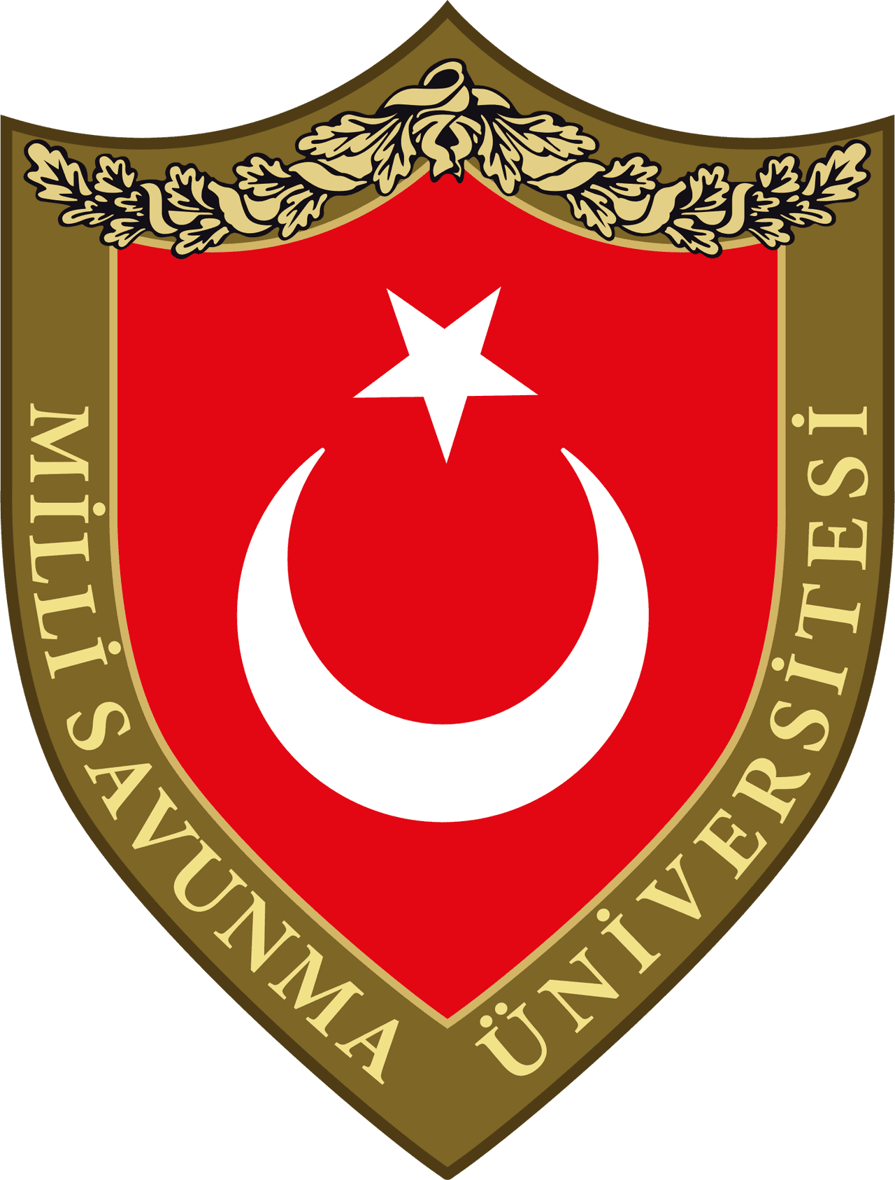 National Defense University