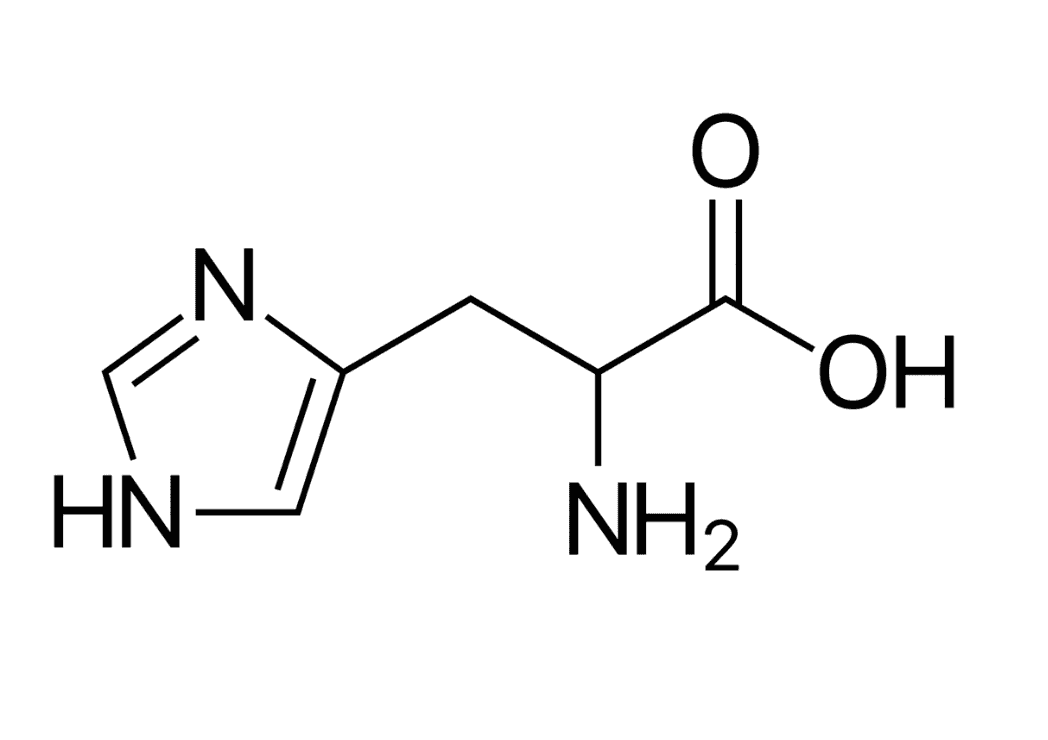 Histidine (Amino Acid)