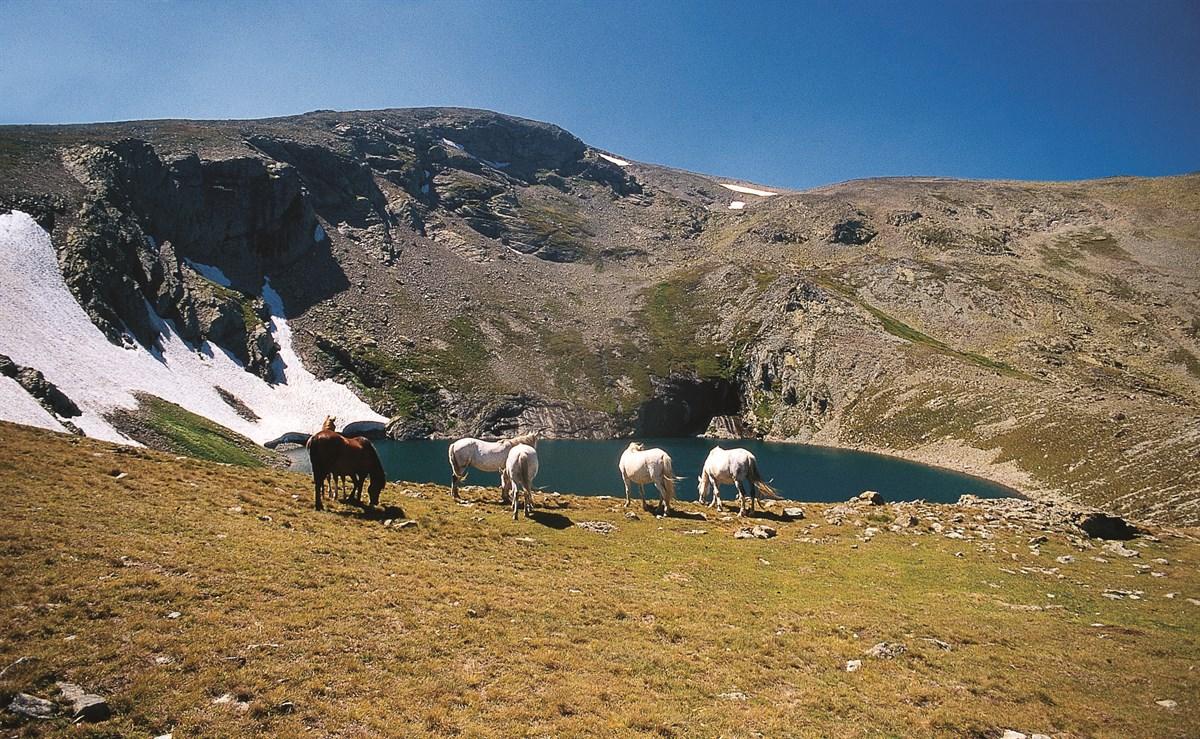Karagöl Plateau (Giresun)