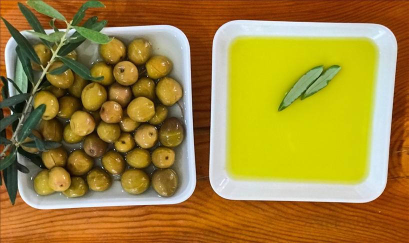 Antalya Tavşan Yüreği Zeytini