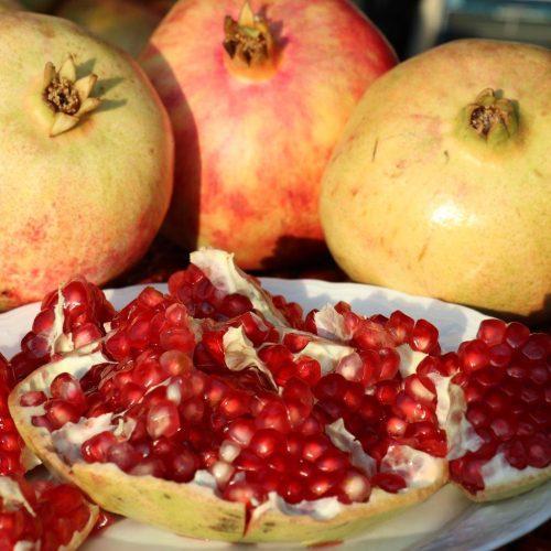 Gazipaşa Çekirdeksiz Narı