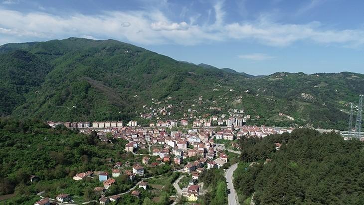 Bozkurt (District)