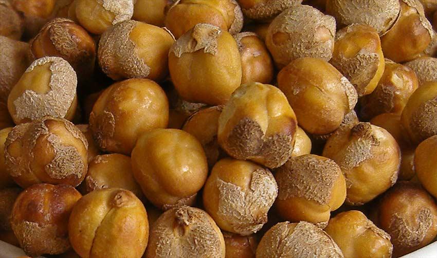 The Chickpea of the Net