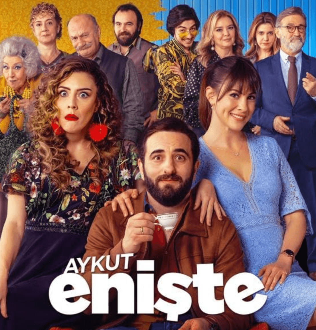 Aykut Enişte (Film)