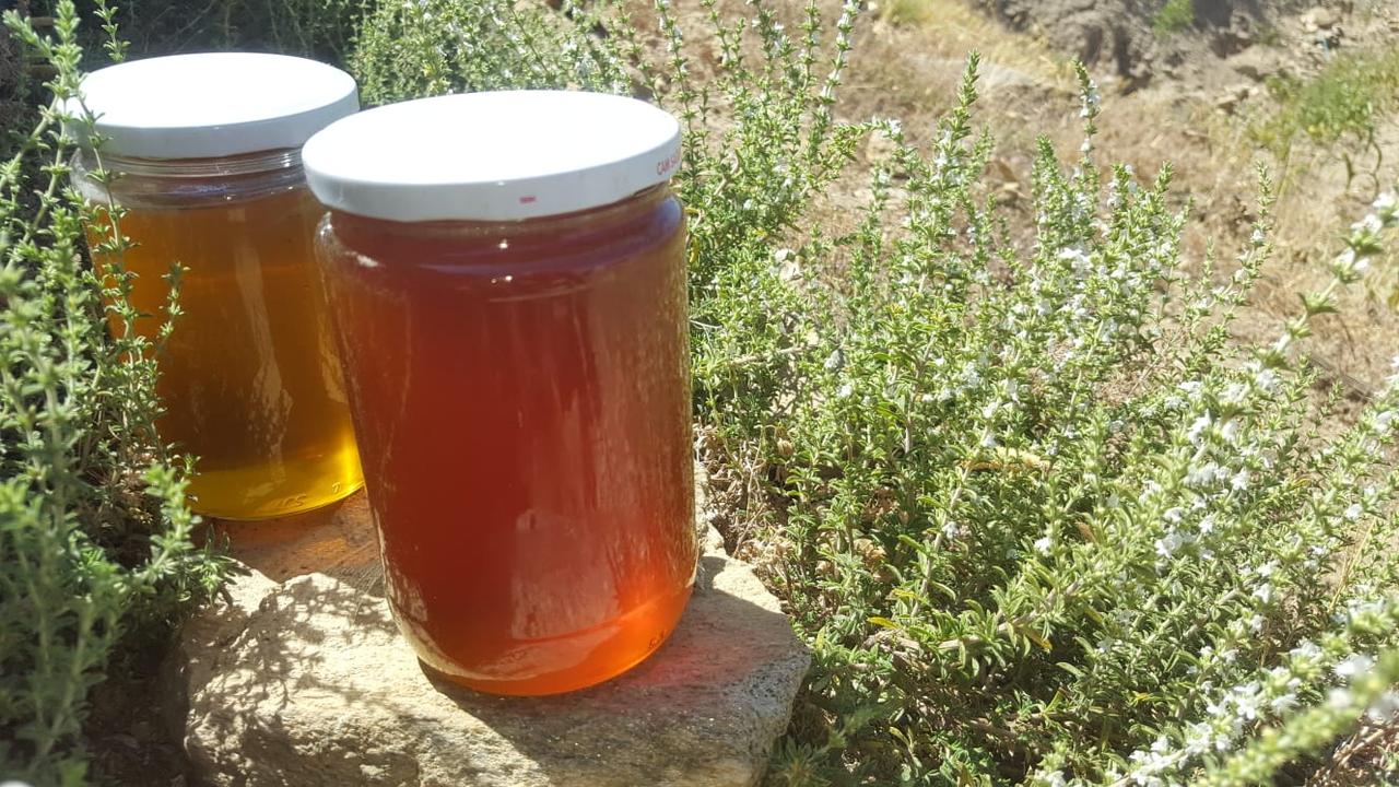 Dikmen Flower Honey