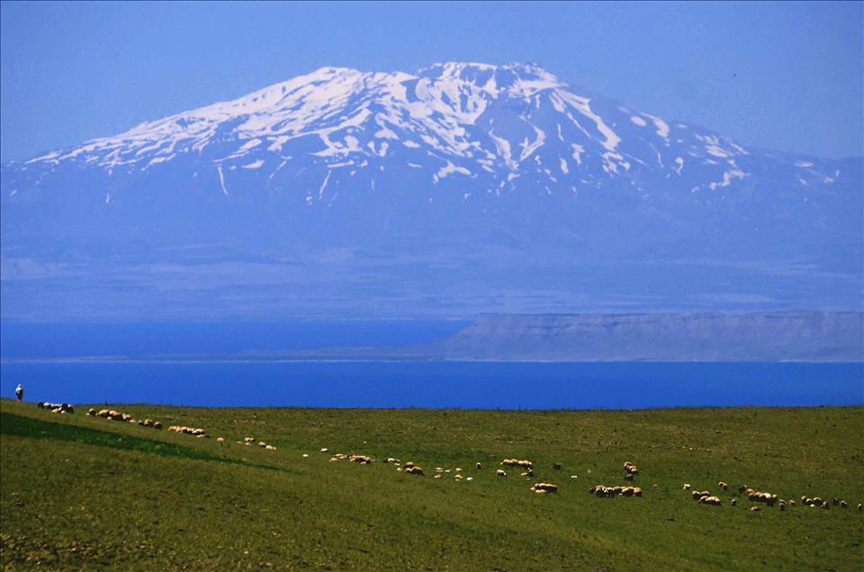 Süphan Dağı