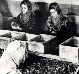 Anadolu Kadınları Müdafaa-i Vatan Cemiyeti