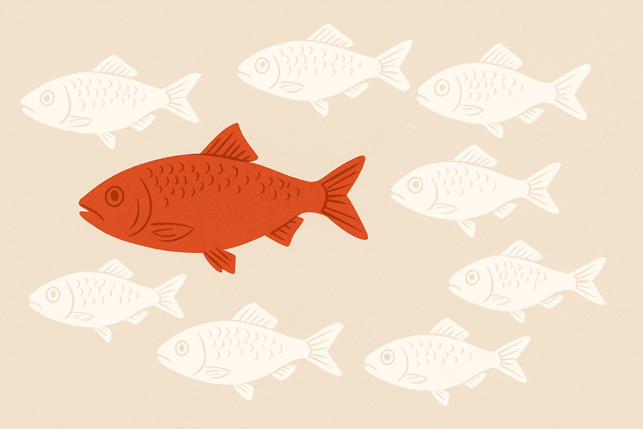 Red Ringa Fish Misconception